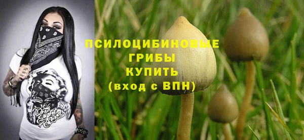 прущие крисы Алзамай