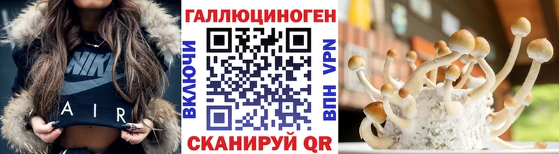 ОМГ ОМГ сайт  где купить   Новоульяновск  Псилоцибиновые грибы Cubensis 